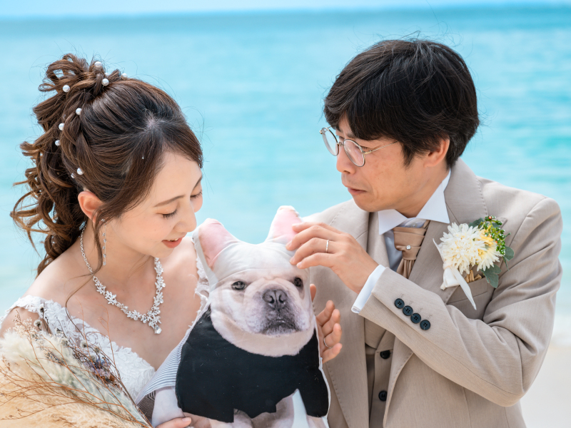 ベーシックプラン