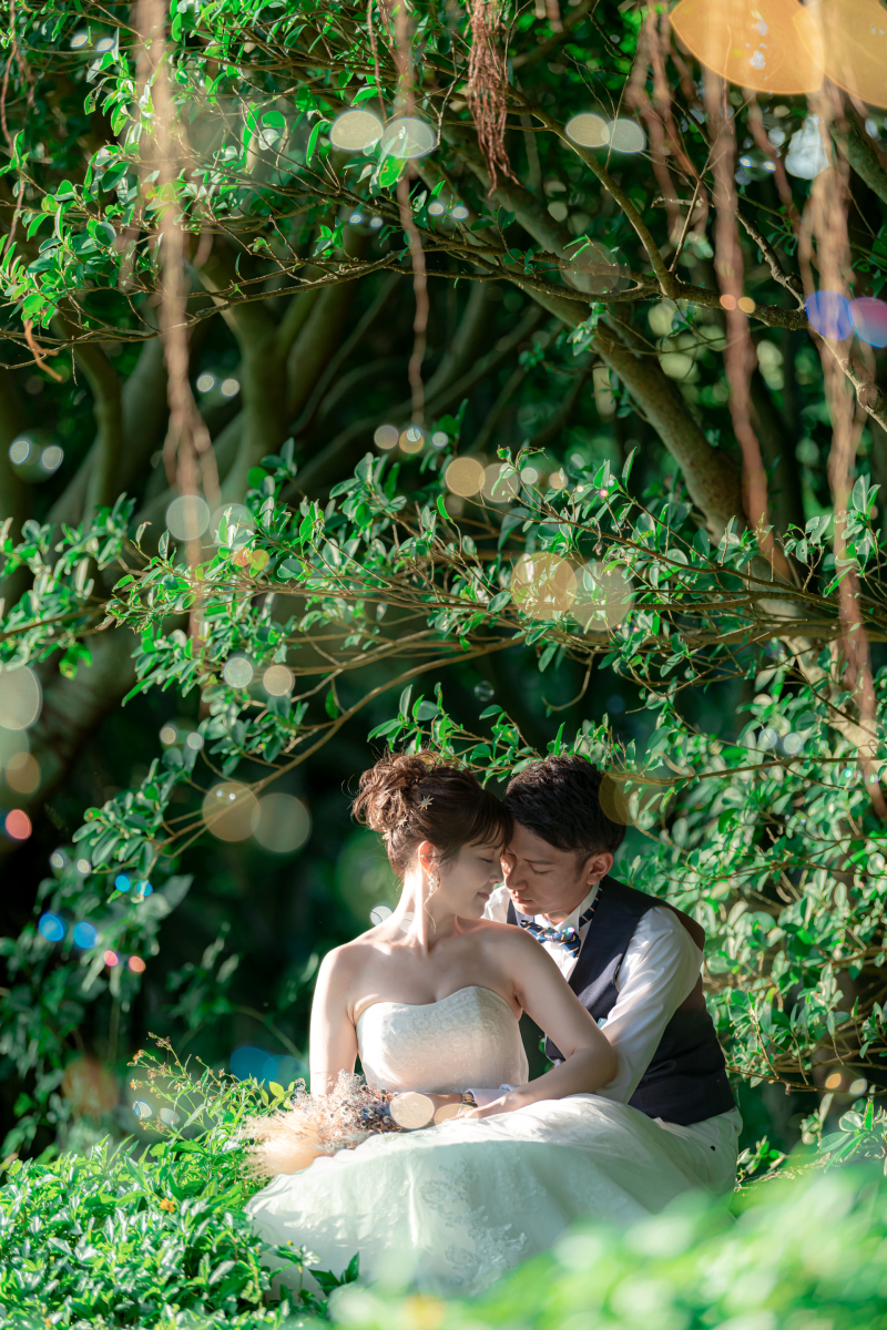 ガジュマルの妖精に