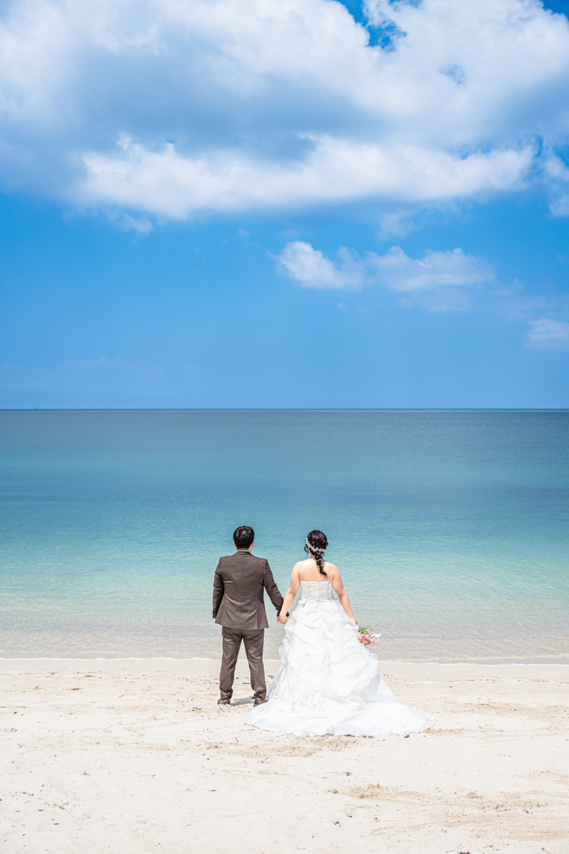 ベーシックプラン