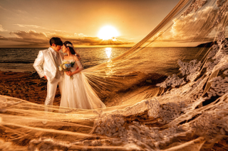 ★しっかりプラン★