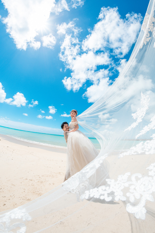 ベーシックプラン