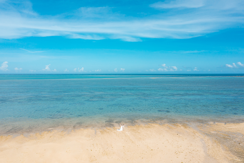 海の全景
