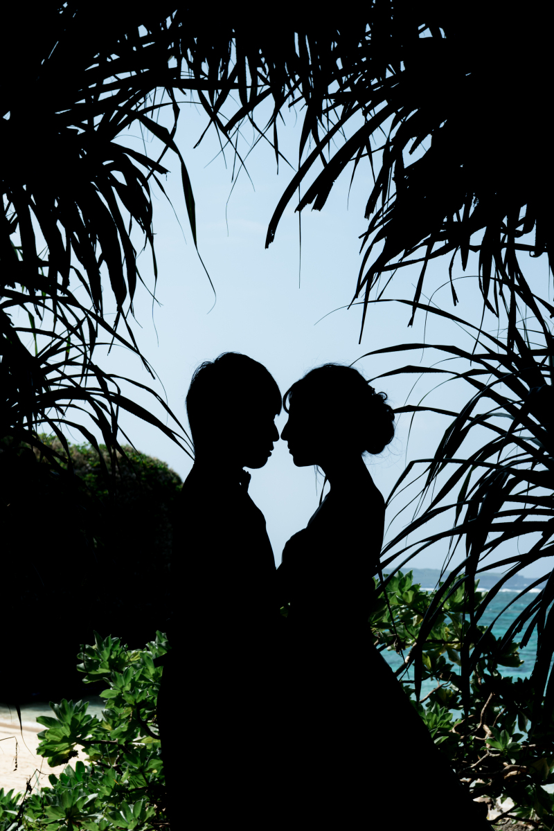 植物と愛の結びつき