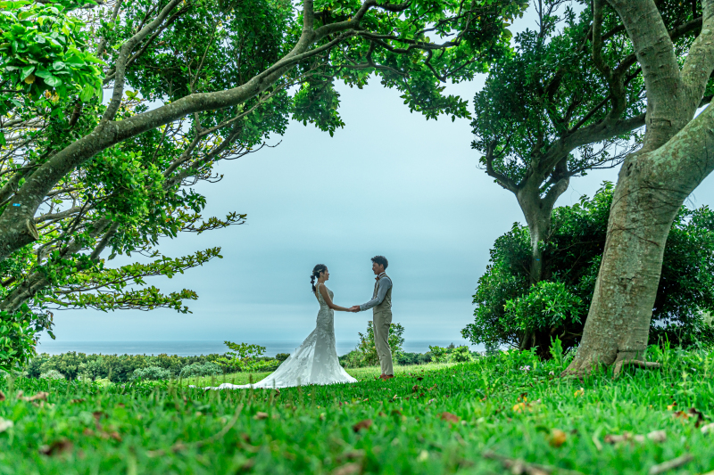 緑の窓で向き合い♡