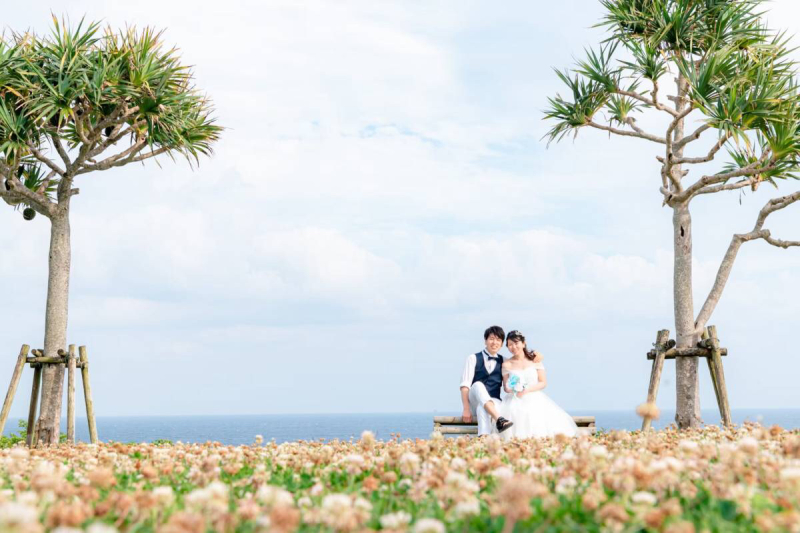 海!花!木!