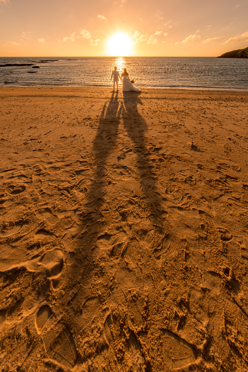 サンセットの背中♡