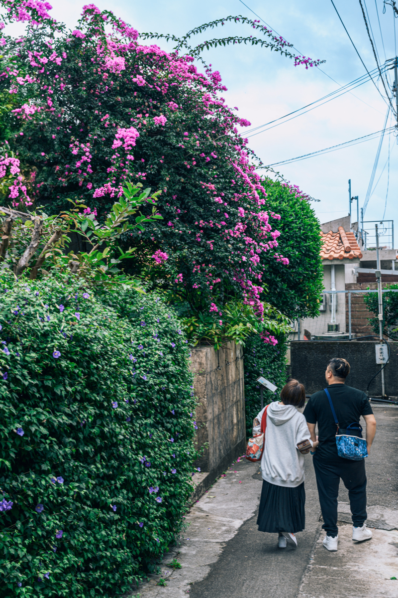 ブーゲンビリア彩り♡