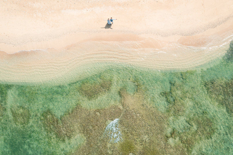 海の全景