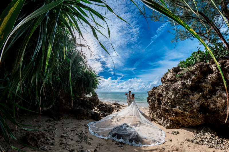 プライベートビーチと南国植物♡