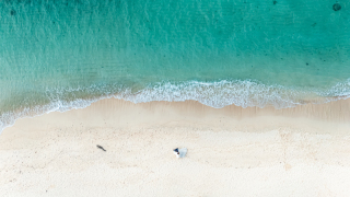 ドローン写真。足跡除去や色味調整を致しました。