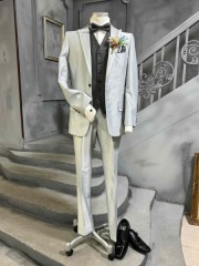 ライトシルバー