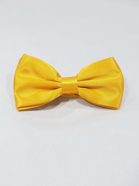 蝶ネクタイ_84689