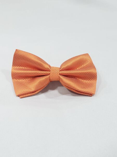 蝶ネクタイ_84691