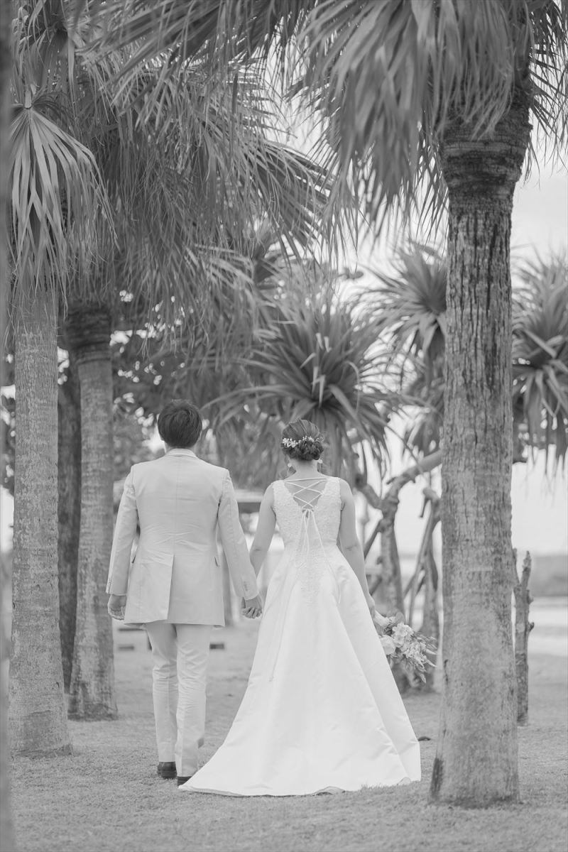 南国の木々の中を