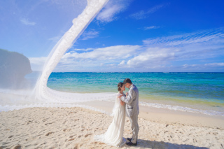 ザネー浜1ヶ所での撮影