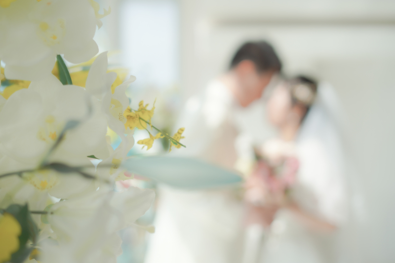 祝福する陽の光