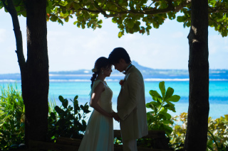 フクギ並木とビーチでのお写真