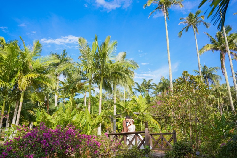 いろんな植物に囲まれて