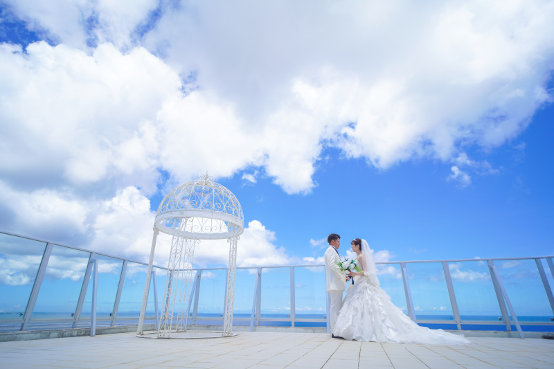 スカイガーデン