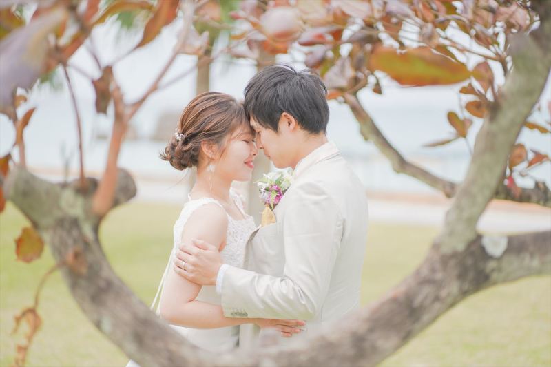 公園の木をフレームに