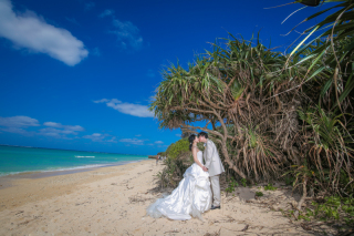 Tim Tim Photo Studio 沖縄_前撮りプラン「Blitzen Gold」