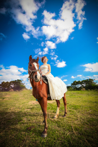 Hose「馬」との撮影プランです