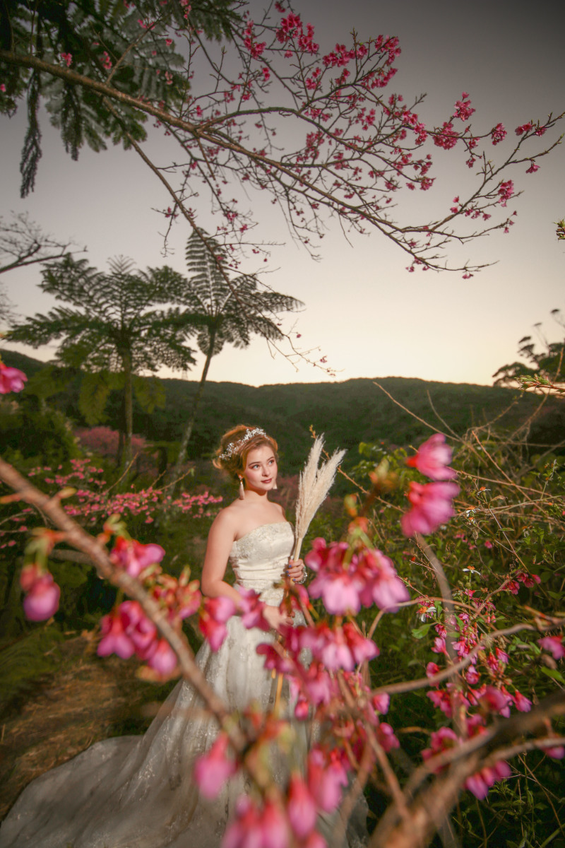 クレジット払い可能なので当日でのプラン決めでも安心