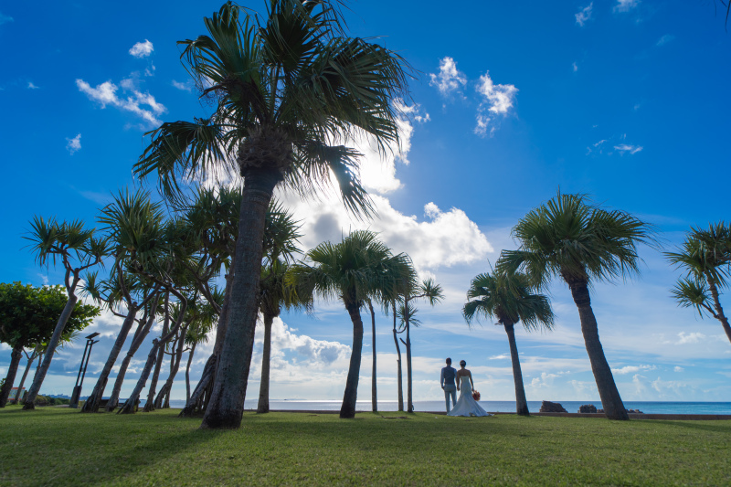 Tim Tim Photo Studio 沖縄_2025new