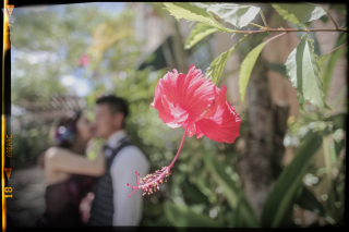 Tim Tim Photo Studio 沖縄