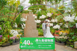 TimTim Photo Studio 沖縄_グリーン撮影