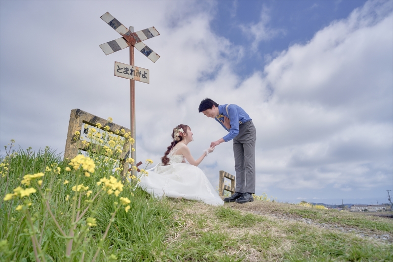 春の日差しがいいですね。季節の追加フォトなんかも撮りますよ。