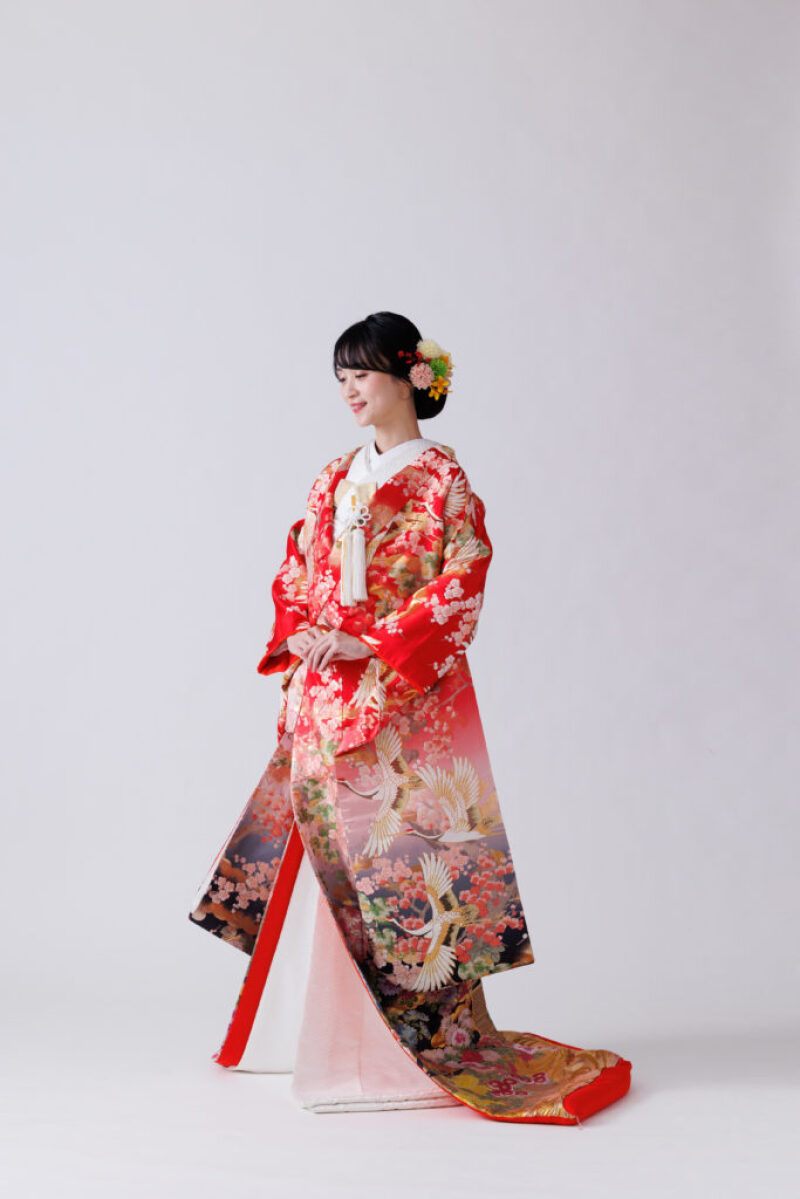 垣根に菊梅