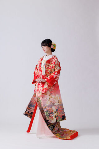 垣根に菊梅
