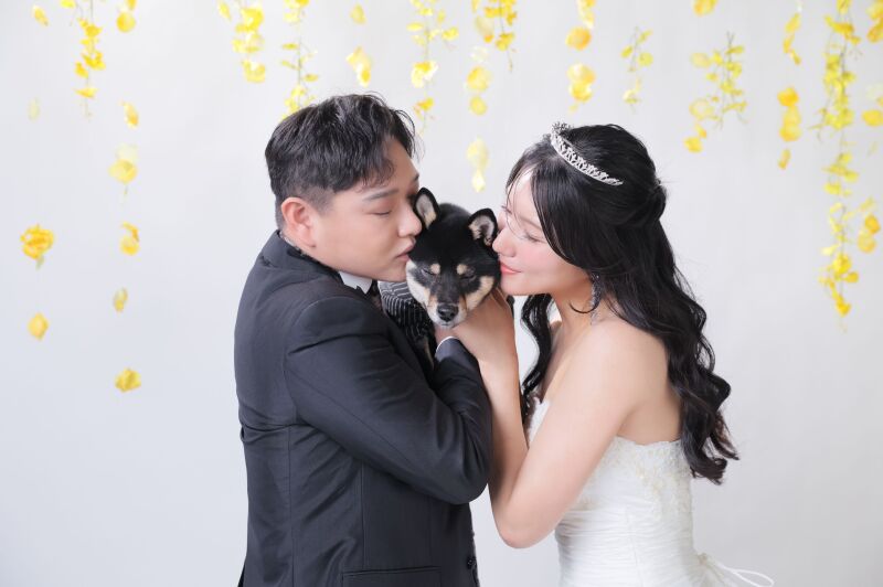 愛犬へ寄せる優しい愛おしさに満ちたアップショット