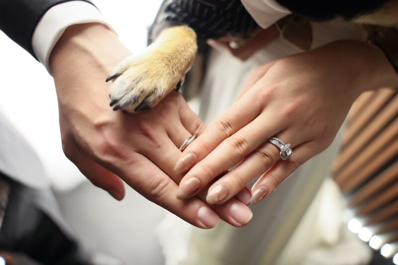 指輪と愛犬の前脚が重なる心温まる手元ショット