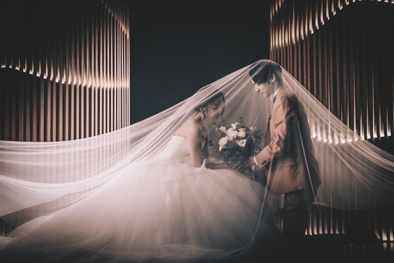 studio LUMINOUS 名古屋_ペットと一緒に撮影できる