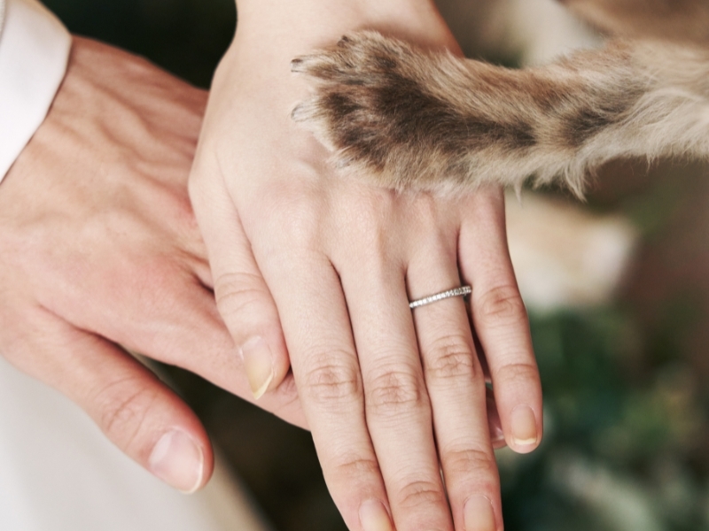 studio LUMINOUS 名古屋_ペットと一緒に撮影できる