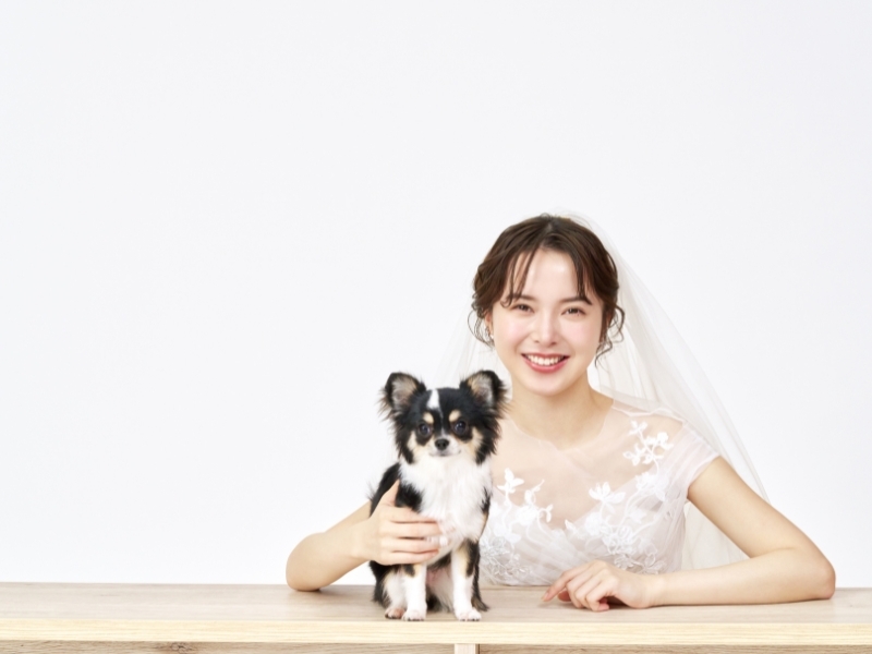 studio LUMINOUS 名古屋_ペットと一緒に撮影できる