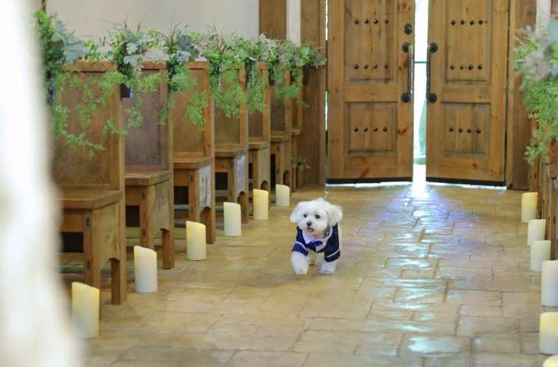 チャペルでの挙式風撮影ではリングドッグ演出も