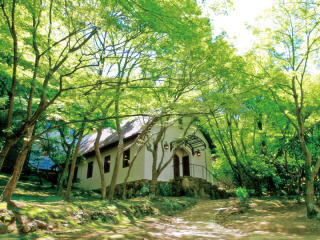 森のチャペル挙式挙式(平日)