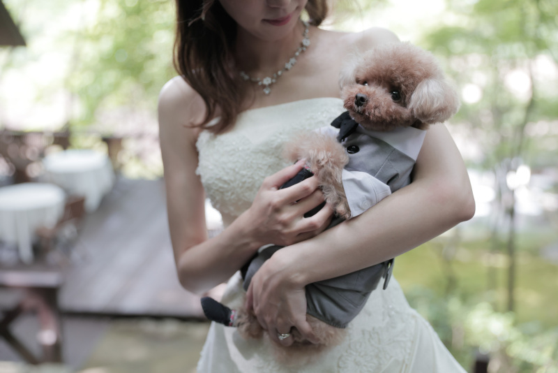 BLANC.THEE フォトスタジオ_ペットと一緒に撮影できる