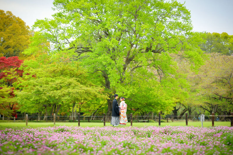 新プラン! 後楽園で色打掛プラン データコース(全データ付/約150カット)*後楽園でのロケーション撮影