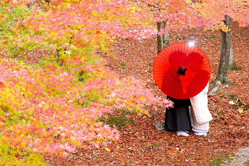 新料金! 白無垢プラン データコース(全データ付/約150カット)*森のガーデンでのロケーション撮影