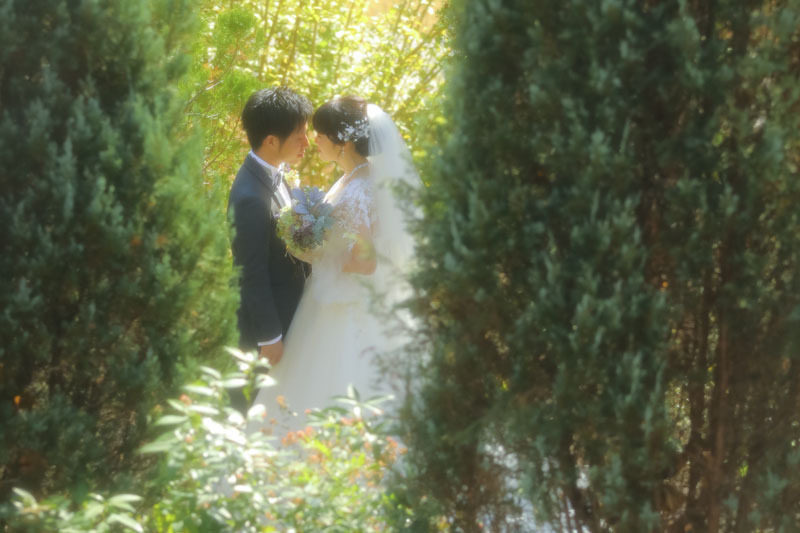 新料金! WD+白無垢プラン データコース(全データ付/約250カット)*森のガーデンでのロケーション撮影