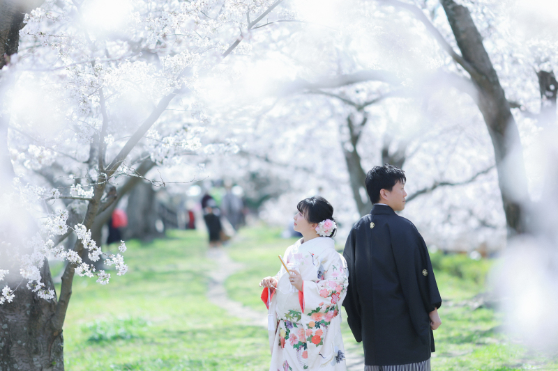 満開の桜に囲まれて…♥