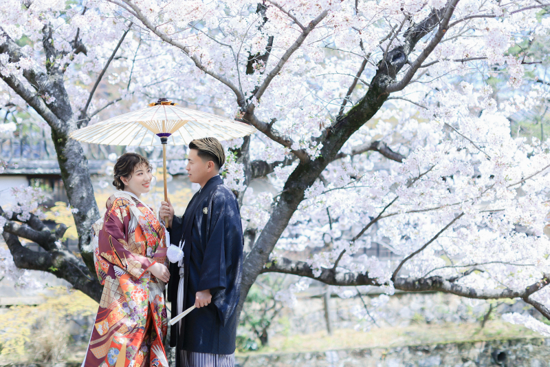柔らかな日差しと満開の桜