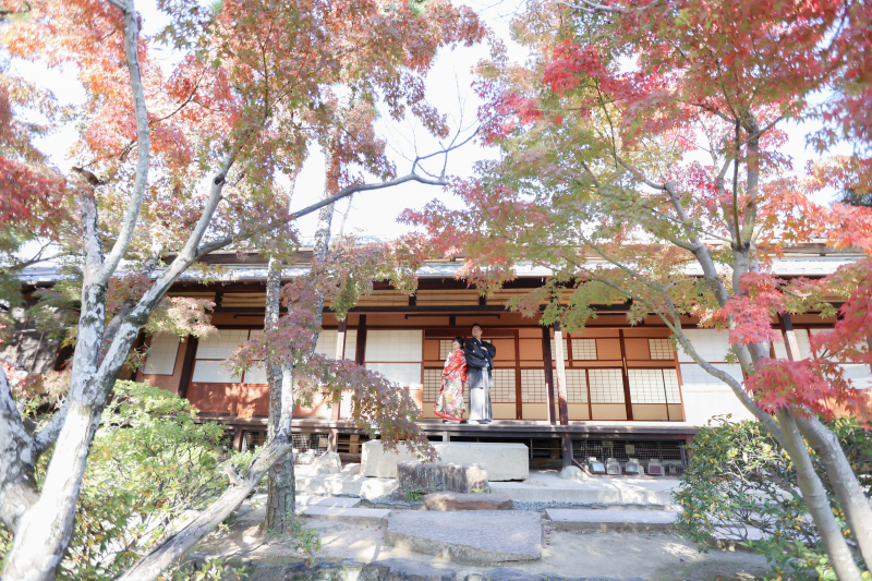 お庭の紅葉