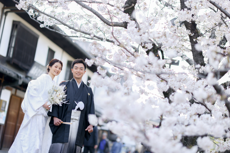 桜の木の下で♪