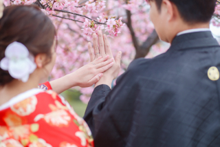 河津桜&times;美観地区&times;倉敷アモル