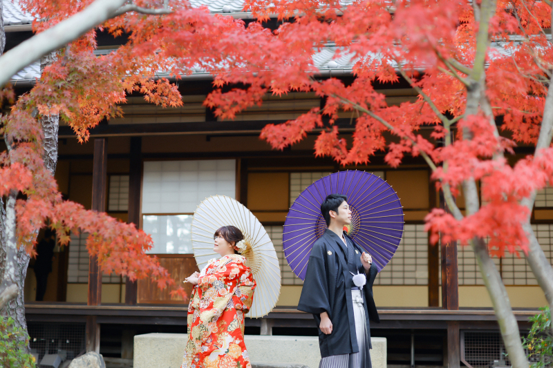 美観地区の紅葉